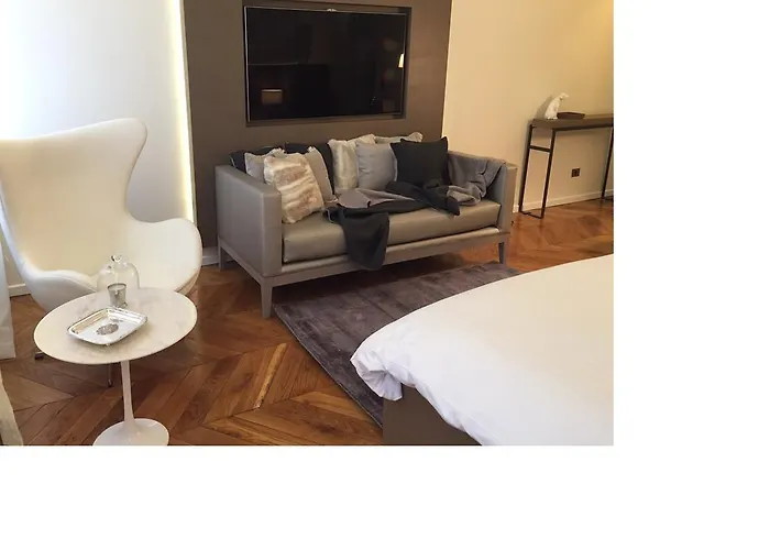 西克豪华一室公寓